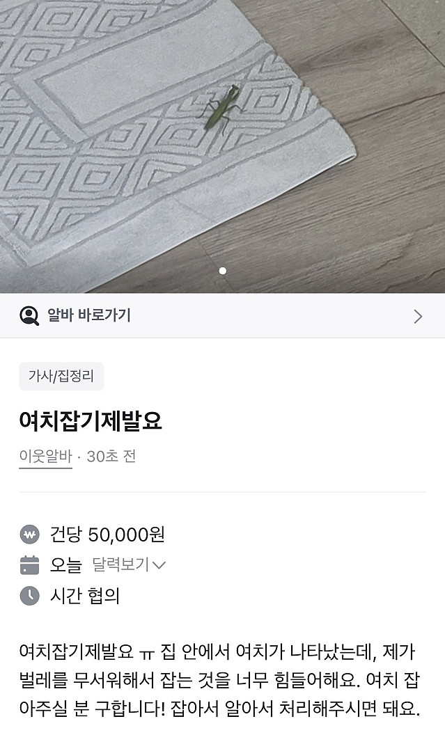 여치 잡아주시면 5만원 드립니다
